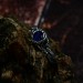 Fairy Fantasy Ring: Sapphire Twig Wedding Band with Floral Design
