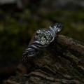 Gothic Silver Ring with a Vibrant Peridot 