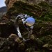 Gothic Moonstone Ring with Enchanted Branch Motif