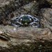 Serpent's Embrace: Gothic Ring with Emerald Glow