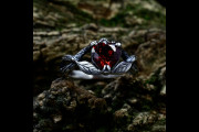 Unique Twisted Twig Engagement Ring for Women with Heart Shaped Solitaire Garnet in Silver, Tiny Nature Wedding Band with Leaf Design