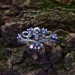 Majestic Gothic Crown Ring with Amethysts