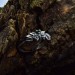 Gothic Silver Ring with a Sparkling Emerald