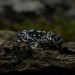 Gothic Emerald Ring with Intricate Nature Motif