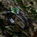 Gothic Silver Ring with Emerald and Branch Design