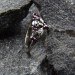 Gothic Ruby Ring with Skull Motif and Bold Design 