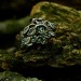 Gothic Silver Ring with Emerald and Leaf Motif