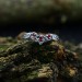 Twins of Flame: Gothic Sterling Silver Ring with Garnet Gems