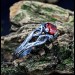 Gothic Ruby Ring with Twisting Vine Design