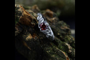 Leafy Tree Ring, Vintage Style Twig and Leaf with Garnet, Band for Woman, Forest Ring Leaf, Delicate Nature Inspired Ring
