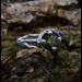 Unique Silver Ring with Peridot and Nature-Inspired Design
