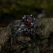 Gothic-Inspired Silver Ring Set with Red Garnet Gemstones