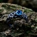 Majestic Dragon Ring with Blue Topaz Gemstone