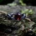 Bold Gothic Ring with Fiery Garnet Gemstone