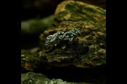 Unique Engagement Ring Nature Inspired, Womens Emerald with Branch Vine Wedding Band, Fantasy Medieval Ring, Forest Jewelry