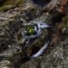 Elegant Silver Ring Featuring a Stunning Green Peridot