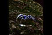 Thin Forest Ring with Three Stones V Shaped, Silver Twig Wavy Engagement Ring with Sapphire, Curved Nature Wedding Band with Branch and Leaf