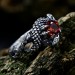 Gothic Dragon Ring with Garnet Gemstone