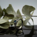 Wings of Serenity: Gothic Sterling Silver Ring with Blue Topaz
