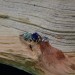 Silver Ring with Sapphire and Intricate Floral Design