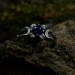 Stunning Silver Ring with Sapphire and Lunar Motif