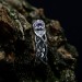 Delicate Gothic Ring with Amethyst Gemstone|Celtic Braided Weave Wedding Band with Amethyst Vine Twig Branch Design