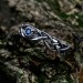 Celtic Knot Aquamarine Wedding Band for Men - Sterling Silver Vine Design