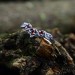 Gothic Garnet Ring with Enchanted Nature-Inspired Design