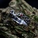 Twisting Shadows: Gothic Sterling Silver Ring with Sculpted Elegance