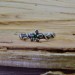 Gothic Ring with Delicate Leaf Motif and Natural Charm