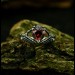 Crimson Guardian: Gothic Sterling Silver Ring with a Garnet Gemstone