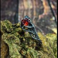 Elegant Gothic Ring with Garnet Gemstone