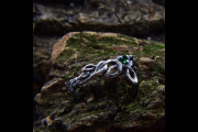 Silver Leaf Branch Emerald Wedding Ring, Unique Foliage Engagement Ring for Women with Forest Themed, Nature Inspired Fantasy Jewelry