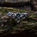 Twisted Vine Ring with a Touch of Emerald Magic