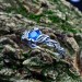 Gothic Aquamarine Ring with Enchanted Leaf Motif