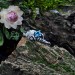 Gothic Silver Ring with a Radiant Blue Topaz