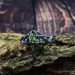 Enchanted Gothic Peridot Ring with Leaf Motif