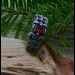 Gothic Chain Ring with Fiery Garnet Gemstone
