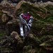 Gothic Ruby Heart Ring with Dragon Claws