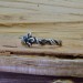 Gothic Ring with Delicate Leaf Motif and Natural Charm