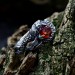 Gothic Dragon Ring with Garnet Gemstone