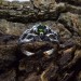 Verdant Majesty: Twisted Gothic Olivine Ring