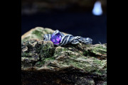 Whimsical Fairy Engagement Ring with Amethyst Flower, Forest Elvish Wedding Band for Woman, Silver Purple Twig and Floral Ring