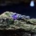 Amethyst Majesty: Artisan Silver Ring with a Gothic Twist