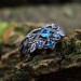 Elegant Vine Design Silver Ring Set with Blue Topaz