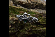Unique Cottagecore Mushroom Engagement Ring for Women with Forest Design, Non Traditional Leafy Twig Wedding Witchy Ring in Silver