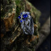Gothic Silver Ring with Sapphire and Nature-Inspired Design