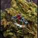 Elegant Gothic Ring with Garnet Gemstone
