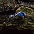 Wave of Midnight: Gothic Sterling Silver Ring with a Sapphire Gemstone