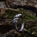 Silver Ring with Emerald and Leaf Design